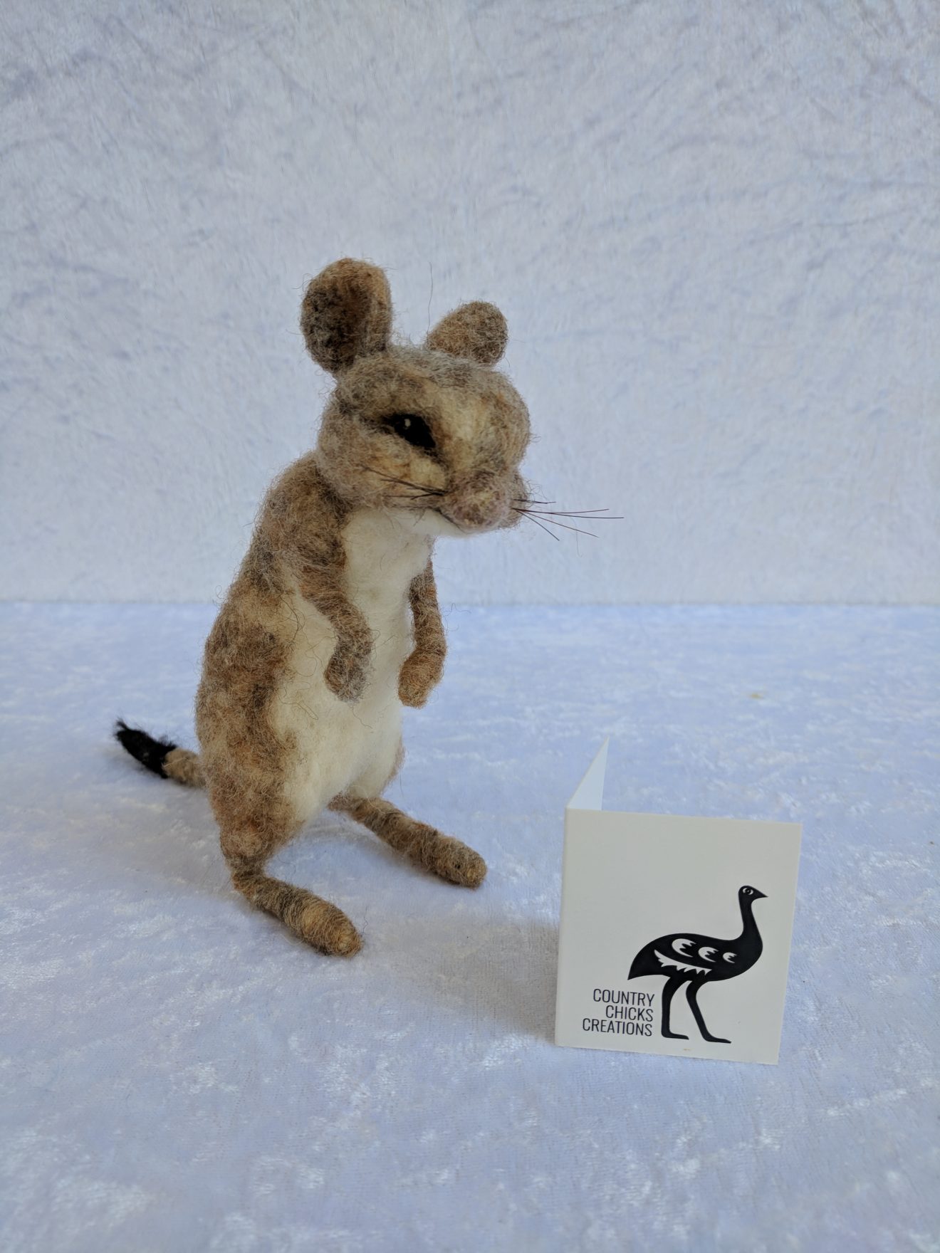 Woylie - 3D Needle felting with wire armature with Peta Korb