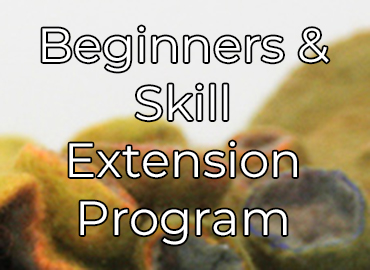 Extension Skills Program - Nuno Felt